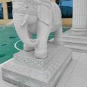 上海 白麻花岗岩动物异形石雕-大象